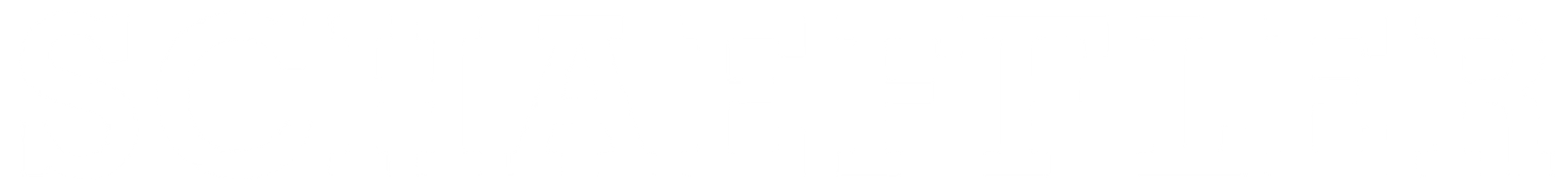 Schaeffler client logo